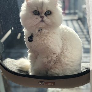 Meet your Posher, Michele